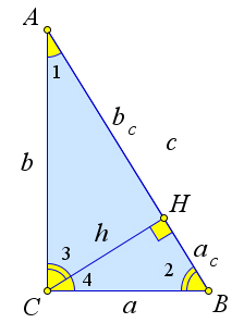 В прямоугольном треугольнике mng высота gd. Пропорциональные отрезки в прямоугольном треугольнике. Пропорциональные отрезки в прямоугольном треугольнике а=2 BC=3. Пропорциональные отрезки в прямоугольном треугольнике чертеж. Пропорциональные отрезки в прямоугольном треугольнике задания.